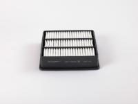 ������ ��������� BIG FILTER GB-9520