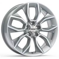 ���� Carwel ����� 202 (X-Trail)