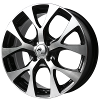 ���� RPLC HY64