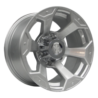 ���� FM TL6165