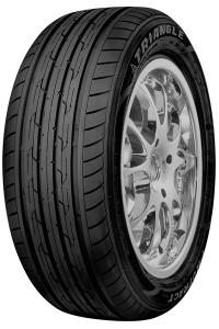 ���� R13 Triangle TE301