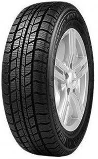 ���� Delinte Winter WD2